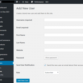 How to assign user roles in WordPress